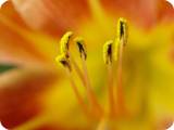 短信在线压测平台